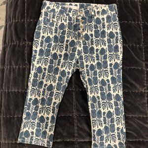 Anthropologie Pilcro/Letterpress High-Rise Stretch Denim Leggings Size 28
